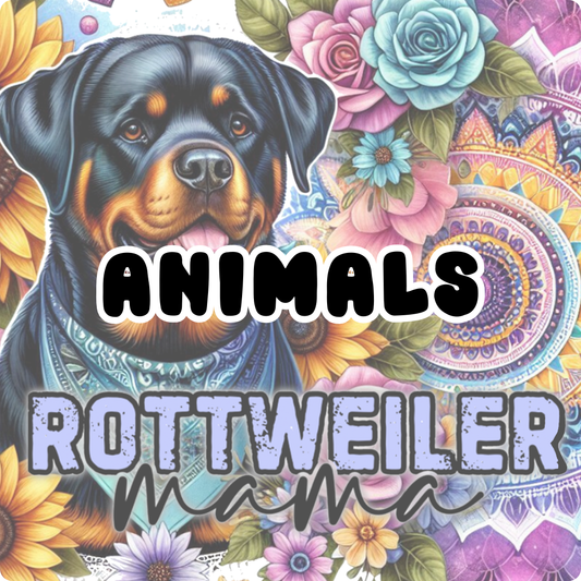 GV Exclusive - Animals